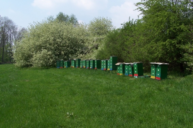 Stanoviště včelstev