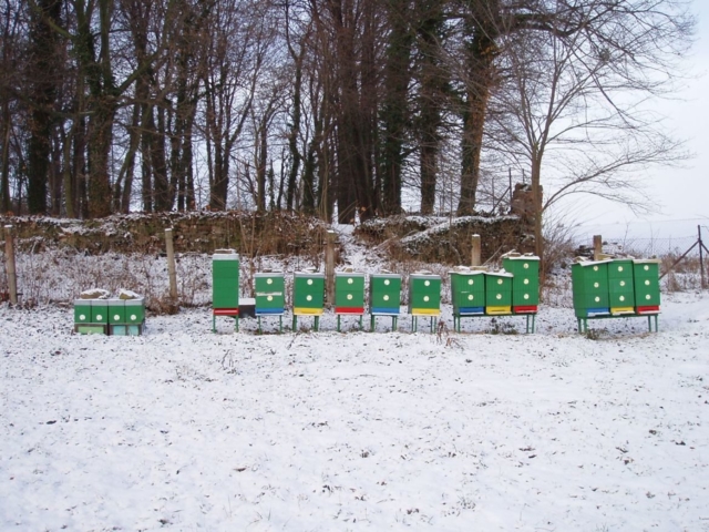 Stanoviště včelstev